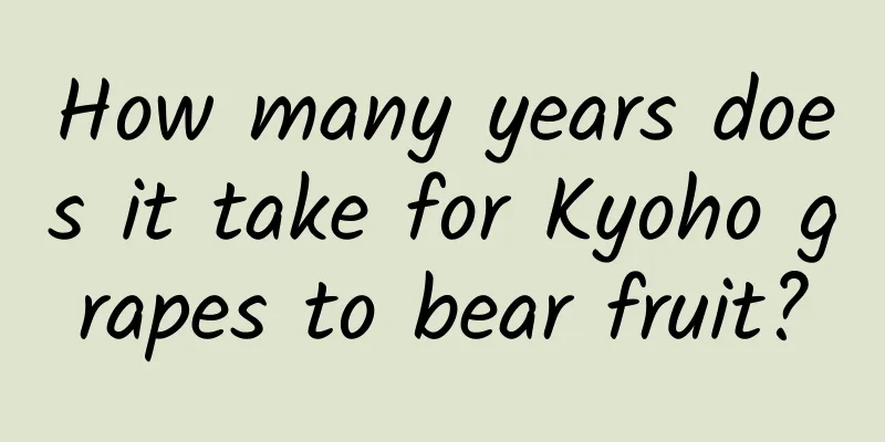 How many years does it take for Kyoho grapes to bear fruit?