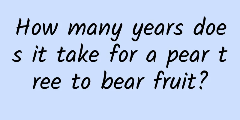 How many years does it take for a pear tree to bear fruit?