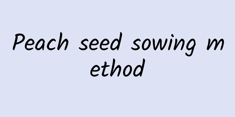 Peach seed sowing method