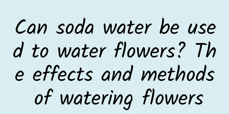 Can soda water be used to water flowers? The effects and methods of watering flowers