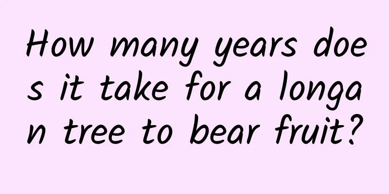 How many years does it take for a longan tree to bear fruit?
