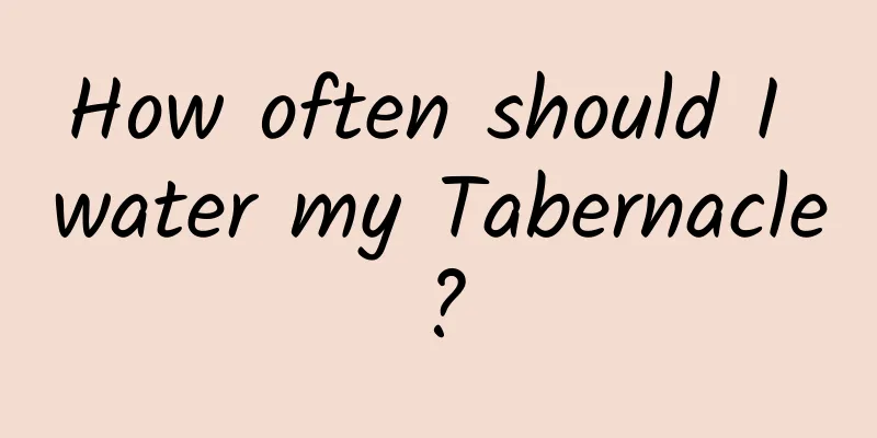 How often should I water my Tabernacle?