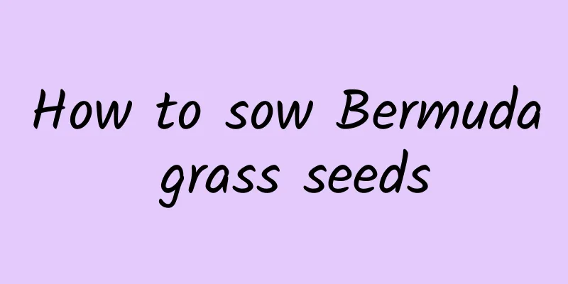 How to sow Bermuda grass seeds