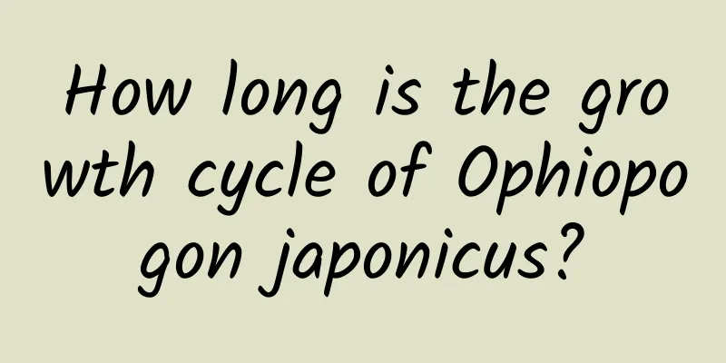 How long is the growth cycle of Ophiopogon japonicus?
