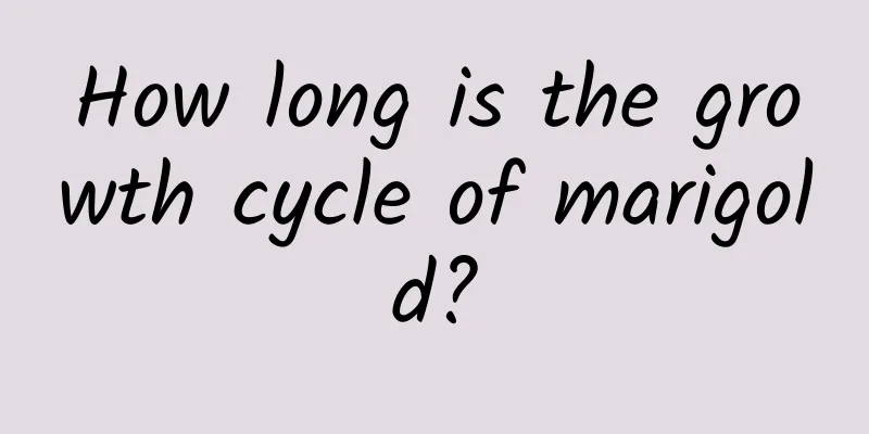 How long is the growth cycle of marigold?