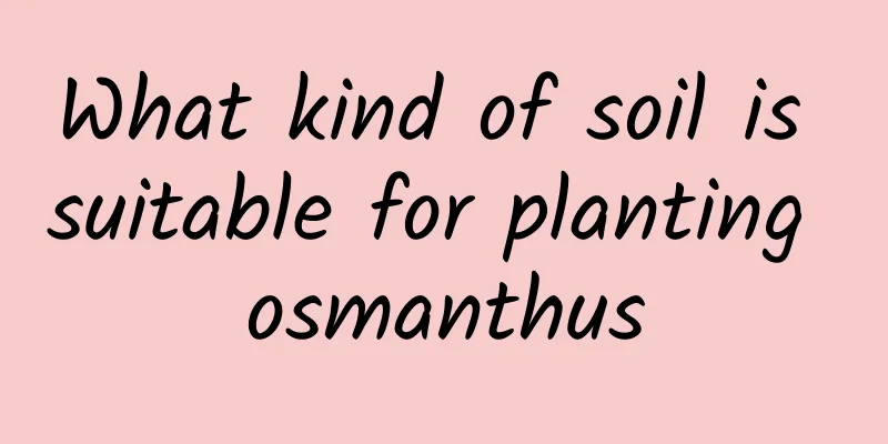 What kind of soil is suitable for planting osmanthus