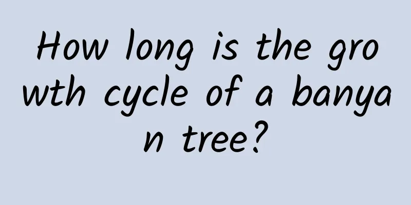How long is the growth cycle of a banyan tree?