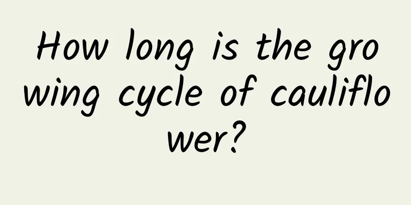How long is the growing cycle of cauliflower?