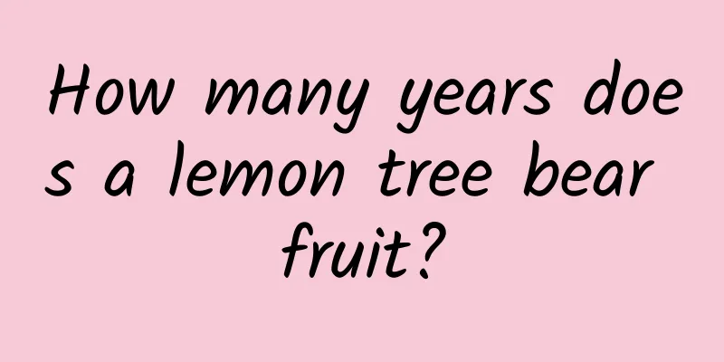 How many years does a lemon tree bear fruit?