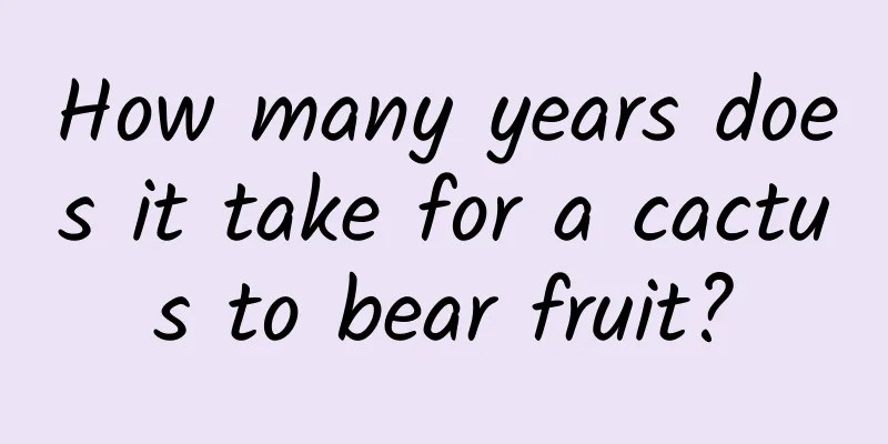 How many years does it take for a cactus to bear fruit?