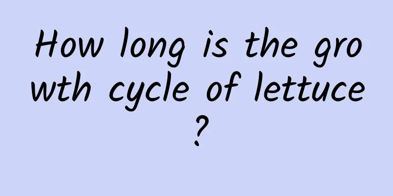 How long is the growth cycle of lettuce?