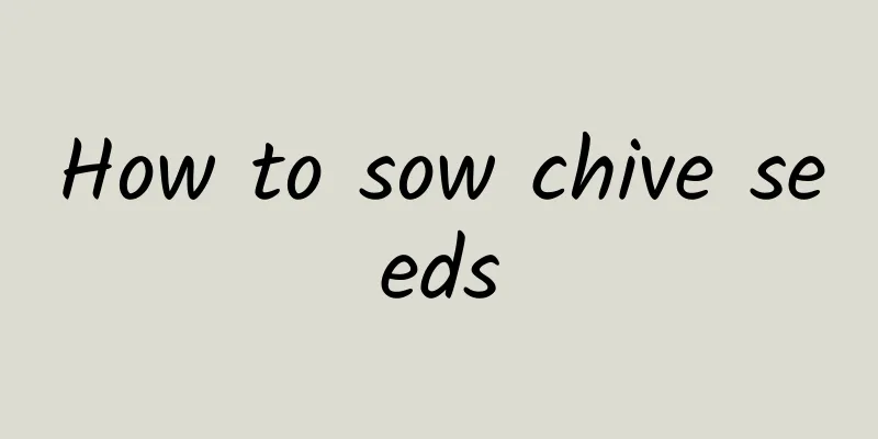 How to sow chive seeds