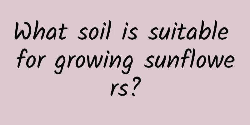 What soil is suitable for growing sunflowers?
