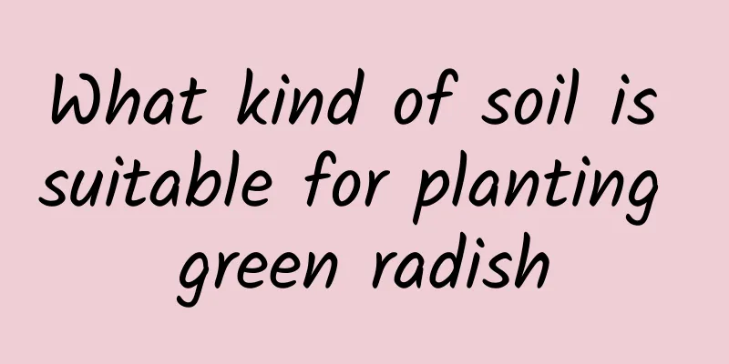 What kind of soil is suitable for planting green radish