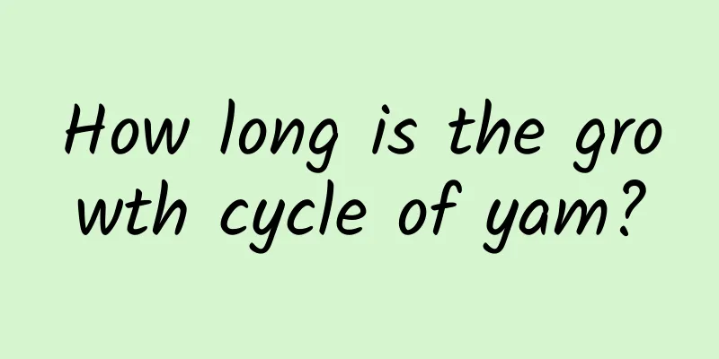 How long is the growth cycle of yam?