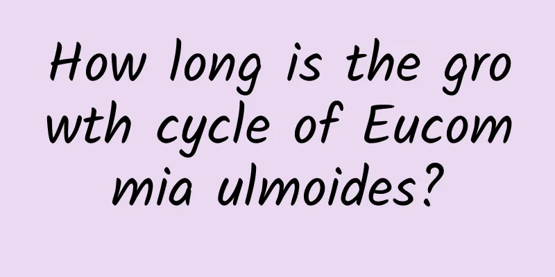 How long is the growth cycle of Eucommia ulmoides?