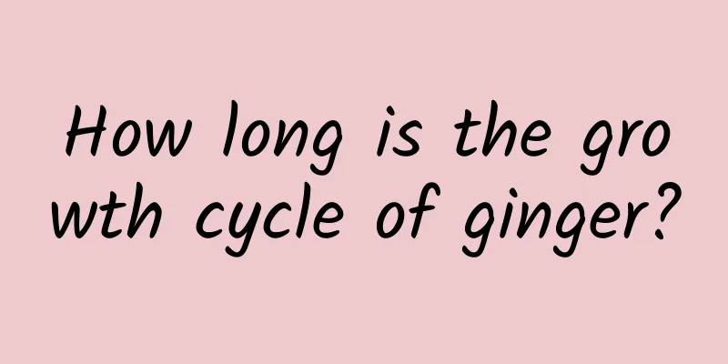 How long is the growth cycle of ginger?
