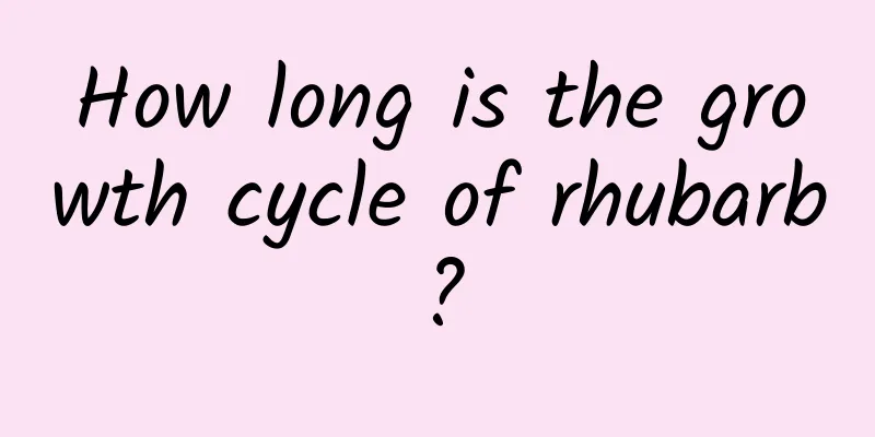How long is the growth cycle of rhubarb?