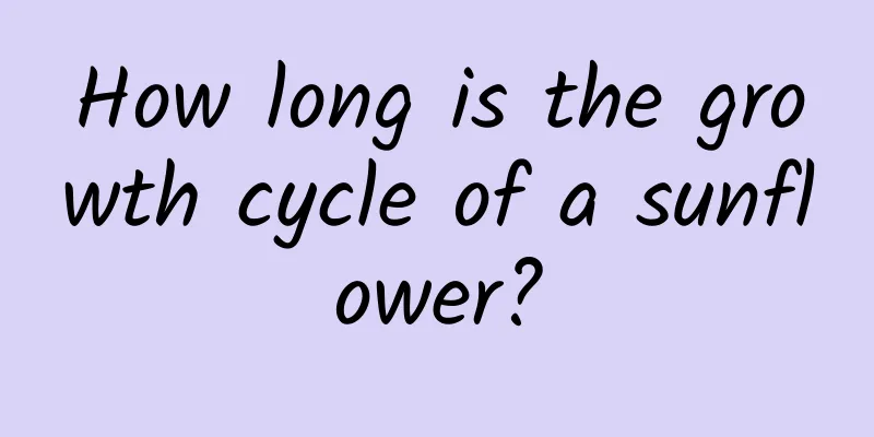 How long is the growth cycle of a sunflower?
