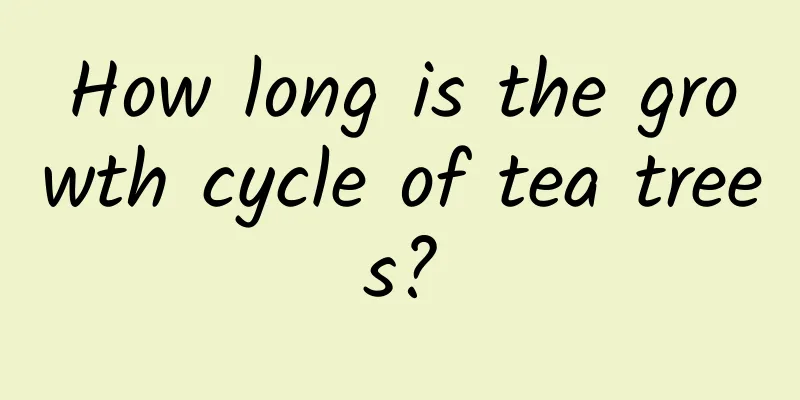 How long is the growth cycle of tea trees?