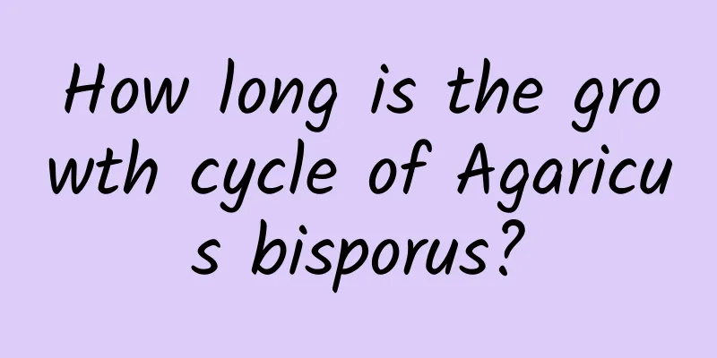 How long is the growth cycle of Agaricus bisporus?