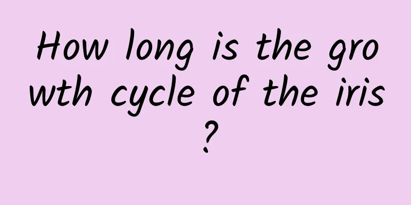 How long is the growth cycle of the iris?