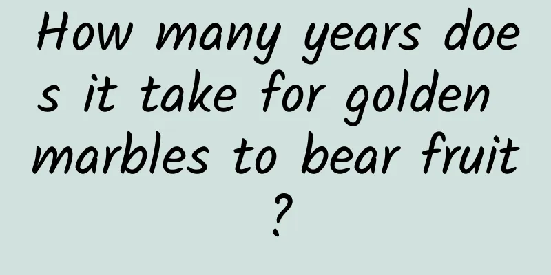 How many years does it take for golden marbles to bear fruit?