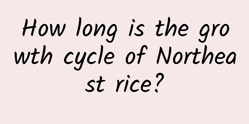 How long is the growth cycle of Northeast rice?