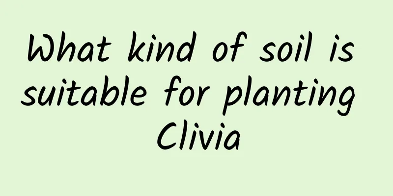 What kind of soil is suitable for planting Clivia