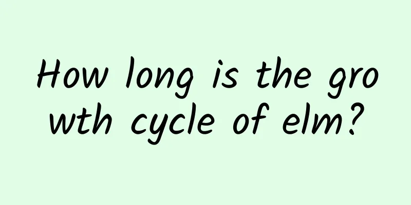 How long is the growth cycle of elm?