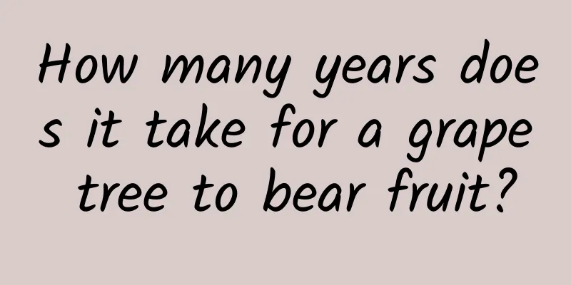 How many years does it take for a grape tree to bear fruit?