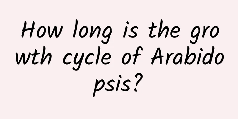 How long is the growth cycle of Arabidopsis?