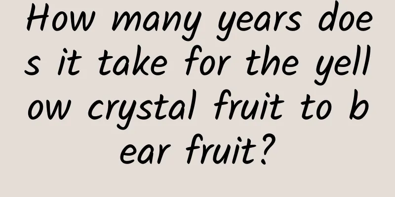 How many years does it take for the yellow crystal fruit to bear fruit?
