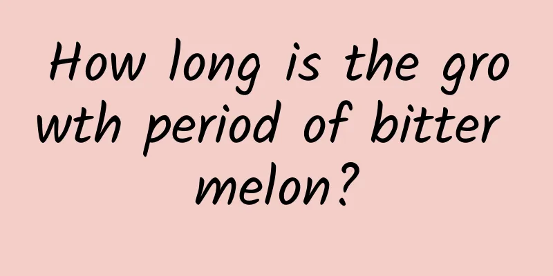 How long is the growth period of bitter melon?