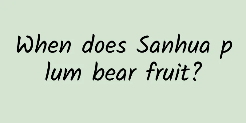 When does Sanhua plum bear fruit?