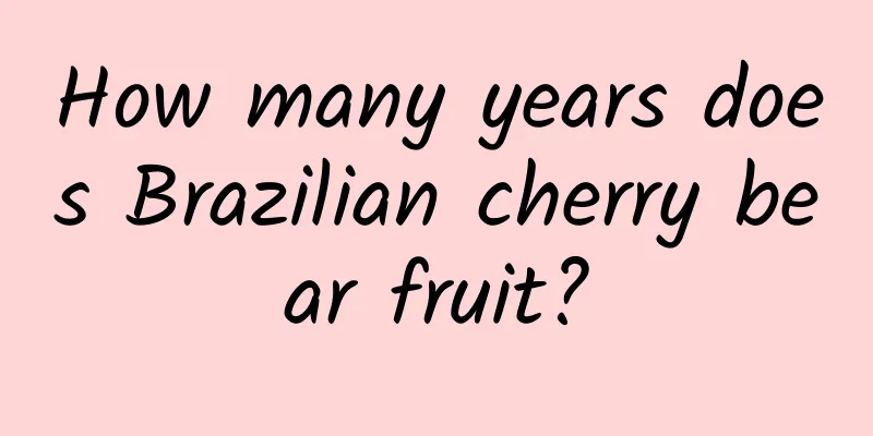 How many years does Brazilian cherry bear fruit?