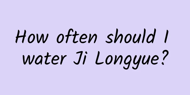 How often should I water Ji Longyue?
