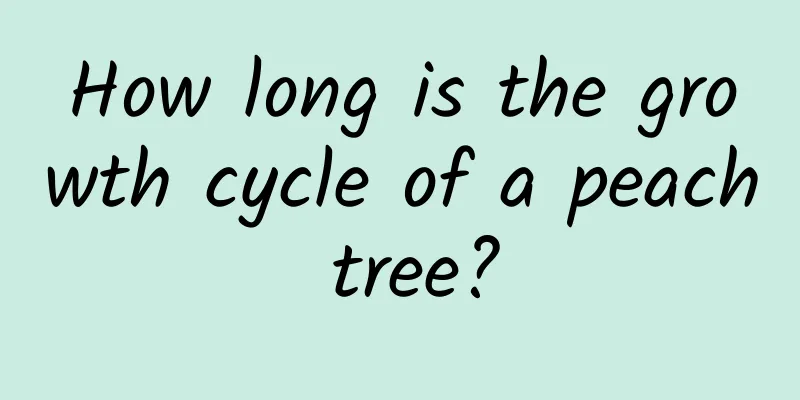 How long is the growth cycle of a peach tree?