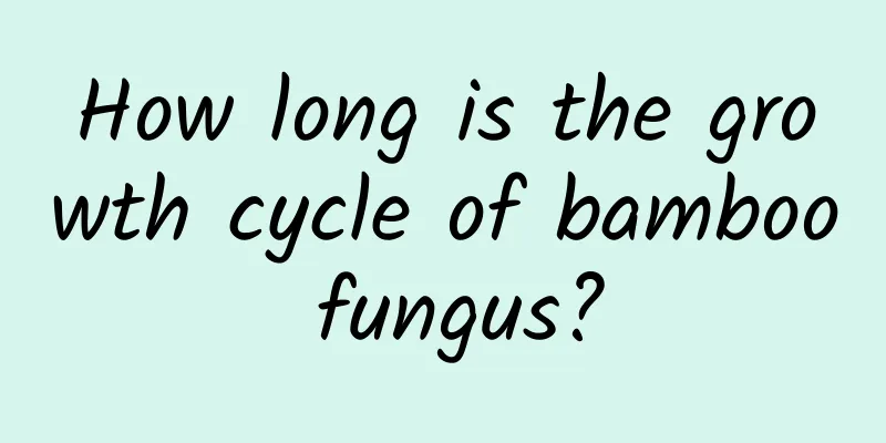 How long is the growth cycle of bamboo fungus?