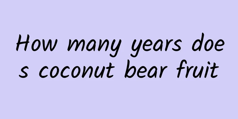 How many years does coconut bear fruit