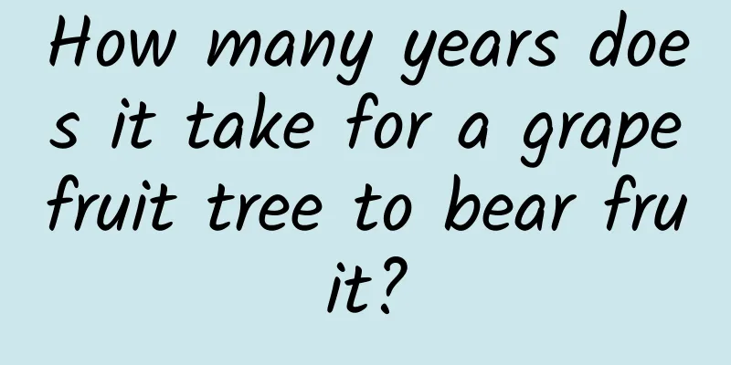 How many years does it take for a grapefruit tree to bear fruit?
