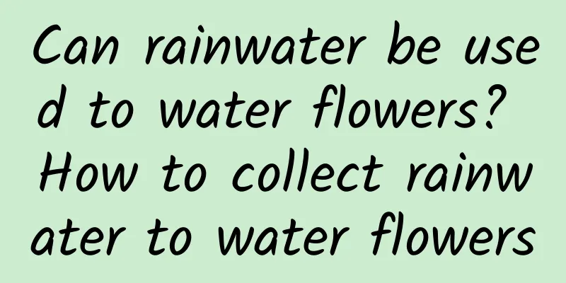 Can rainwater be used to water flowers? How to collect rainwater to water flowers