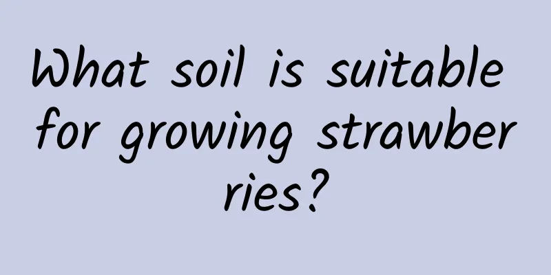 What soil is suitable for growing strawberries?