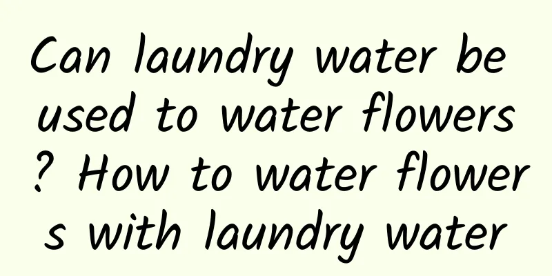 Can laundry water be used to water flowers? How to water flowers with laundry water