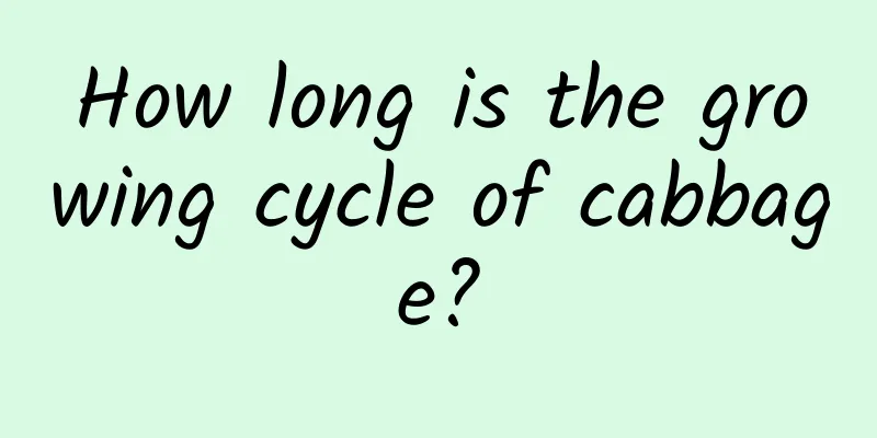 How long is the growing cycle of cabbage?
