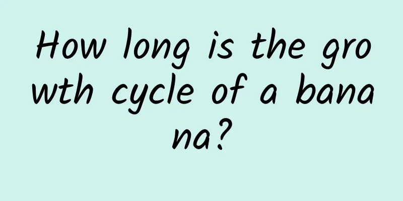 How long is the growth cycle of a banana?