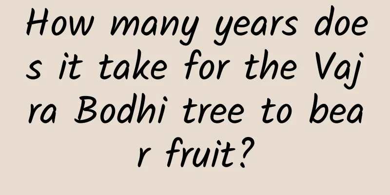 How many years does it take for the Vajra Bodhi tree to bear fruit?