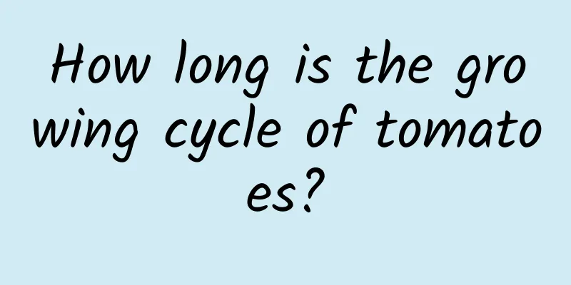 How long is the growing cycle of tomatoes?