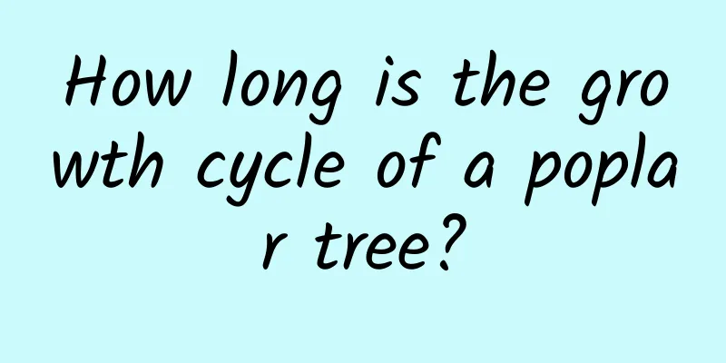 How long is the growth cycle of a poplar tree?
