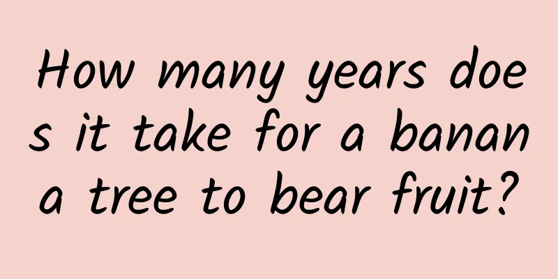 How many years does it take for a banana tree to bear fruit?